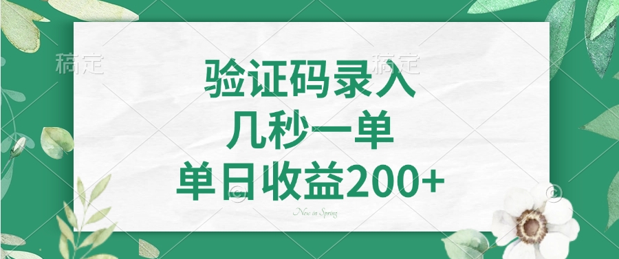 验证码录入，几秒一单，单日收益200+-云享网创