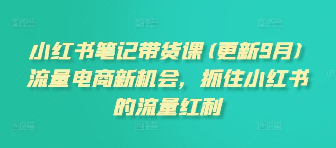 小红书笔记带货课(更新25年2月)流量电商新机会，抓住小红书的流量红利-云享网创