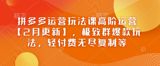 拼多多运营玩法课高阶运营【2月更新】，极致群爆款玩法，轻付费无尽复制等-云享网创