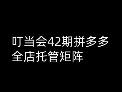 叮当会拼多多打爆班原创高阶技术第42期，拼多多全店托管矩阵-云享网创