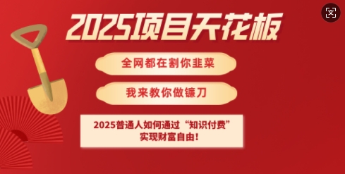 2025项目天花板普通人如何通过知识付费，实现财F自由【揭秘】-云享网创