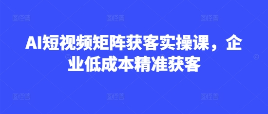 AI短视频矩阵获客实操课，企业低成本精准获客-云享网创