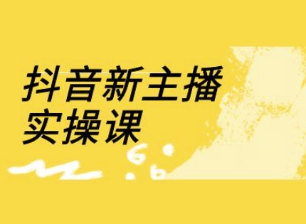 抖音新主播实操课，直播间流量运营线上实操课(18节)-云享网创