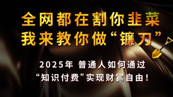 全网都在割你韭菜，我来教你做镰刀，2025普通人如何通过知识付费，实现财F自由【揭秘】-云享网创