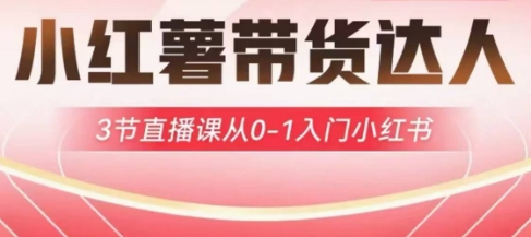 小红薯达人带货启航计划，3节直播课从0-1入门小红书-云享网创