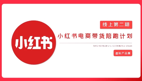 2025小红书虚拟电商实战课，从0到1打造无货源店铺，AI+爆款笔记轻松变现-云享网创