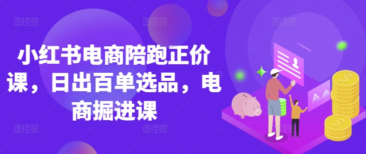 小红书电商陪跑正价课，小红书官方认证电商讲师教学，日出百单选品，电商掘进课-云享网创