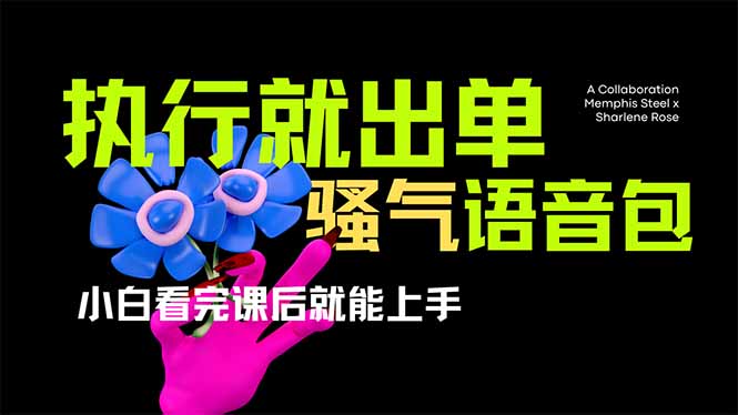 爆火全网的开车导航骚气语音包,只要执行就出单，小白看完课程就能实操…-云享网创