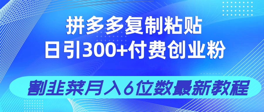 拼多多复制粘贴日引300+付费创业粉，割韭菜月入6位数最新教程！-云享网创