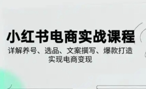 小红书从0-1实操课(2023-2025)，详解养号、选品、文案撰写、爆款打造实现电商变现-云享网创