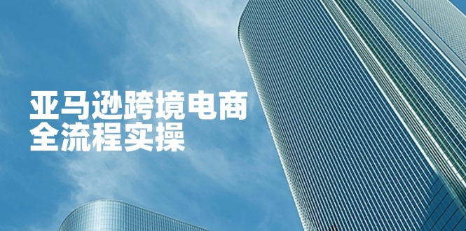 亚马逊跨境电商全流程实操，教你从零开始，掌握店铺运营与广告技巧-云享网创