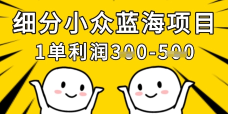 细分小众蓝海项目，一单利润3张，每月收入稳定过1w+-云享网创
