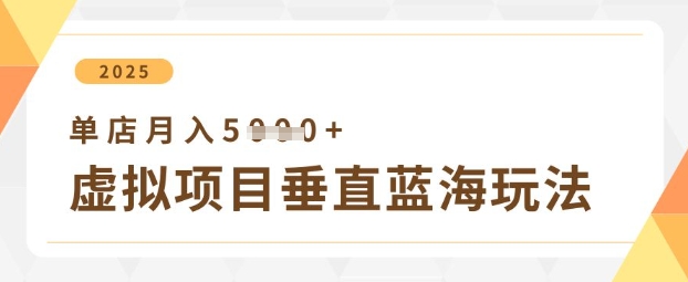 虚拟项目垂直玩法，实现单店月入5k+-云享网创