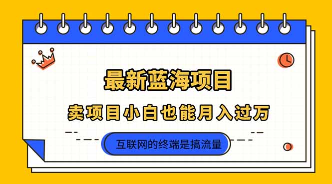 2025年最新蓝海项目，卖项目小白也能月入过万-云享网创