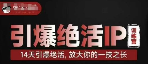 引爆绝活IP训练营，14天引爆绝活，放大你的一技之长-云享网创