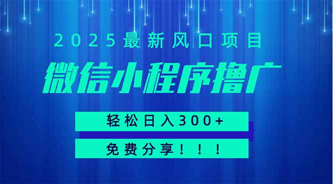 微信小程序撸广，最新风口项目，日入300+ 免费分享 可批量操作 小白可…-云享网创