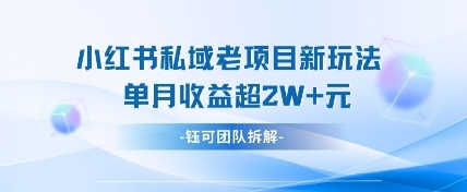 小红书私域项目新玩法，单月变现过W+-云享网创