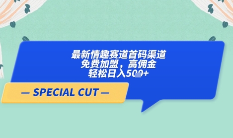 【轻云】最新情趣赛道首码渠道，免费加盟，高佣金，轻松日入5张+-云享网创