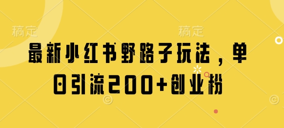最新小红书野路子玩法，单日引流200+创业粉-云享网创