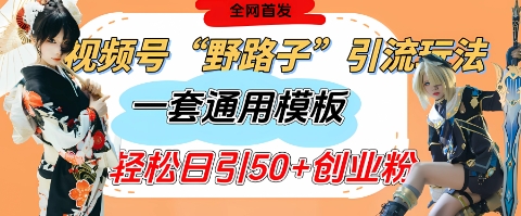 视频号“野路子”玩法，评论区疯狂截流，一套模板单日单号引流50+创业粉-云享网创