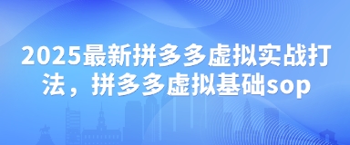 2025最新拼多多虚拟实战打法，拼多多虚拟基础sop-云享网创