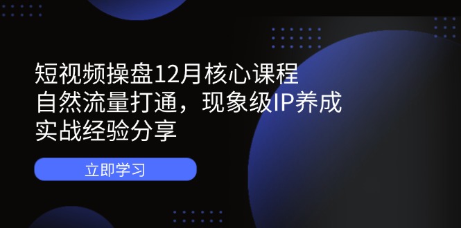 短视频操盘12月核心课程：自然流量打通，现象级IP养成，实战经验分享-云享网创