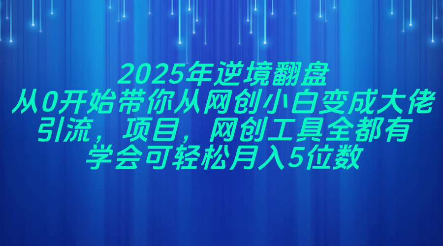 2025年逆境翻盘，从0开始带你从网创小白变成大佬，引流，项目，网创工…-云享网创