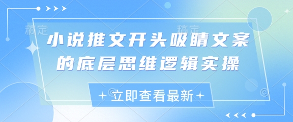 小说推文开头吸睛文案的底层思维逻辑实操-云享网创