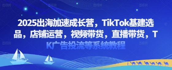 2025出海加速成长营，TikTok基建选品，店铺运营，视频带货，直播带货，TK广告投流等系统教程-云享网创