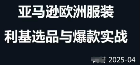 跨境电商选品案例24-25年，聚焦跨境电商选品策略与运营优化，助力卖家挖掘蓝海市场-云享网创