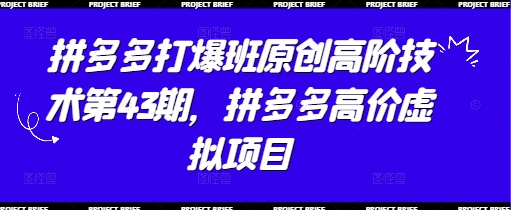 拼多多打爆班原创高阶技术第43期，拼多多高价虚拟项目-云享网创