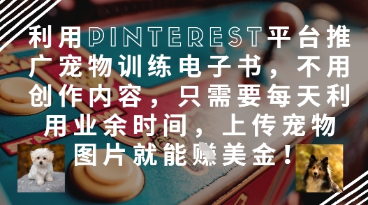 利用Pinterest平台推广宠物训练电子书，不用创作内容，只需要每天利用业余时间，上传宠物图片就能挣美金!-云享网创