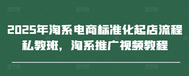 2025年淘系电商标准化起店流程私教班，淘系推广视频教程-云享网创