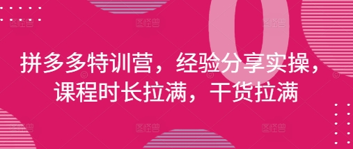 拼多多特训营，经验分享实操，课程时长拉满，干货拉满(更新25年4月)【限时免费】-云享网创
