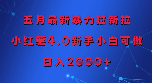 五月最新暴力拉新拉，小红薯4.0新手小白可做，日入多张-云享网创