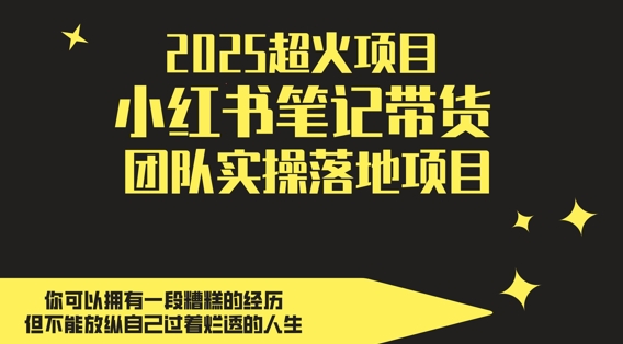 2025超火项目，副业最佳选择，小红书笔记带货团队实操落地项目，，轻松日入5张-云享网创
