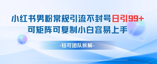 小红书男粉常规引流不封号日引99+变现简单 可矩阵可复制小白容易上手-云享网创