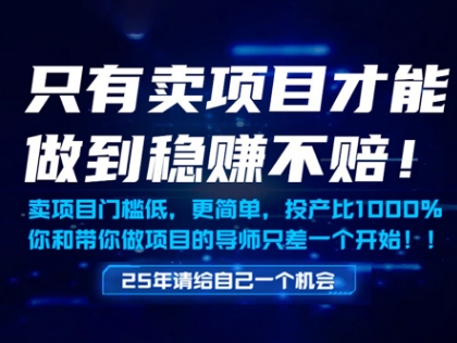 只有卖项目才能做到稳挣不赔，门槛低，更简单，你也可以年入百个W【揭秘】-云享网创