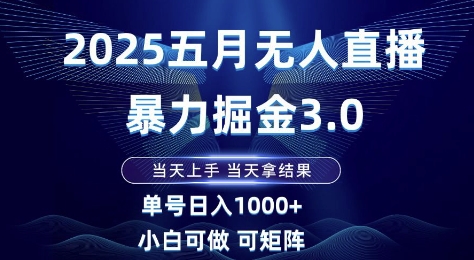 2025五月无人直播暴力掘金3.0，当天上手，当天拿结果，单号日入1k+小白可做可矩阵【揭秘】-云享网创
