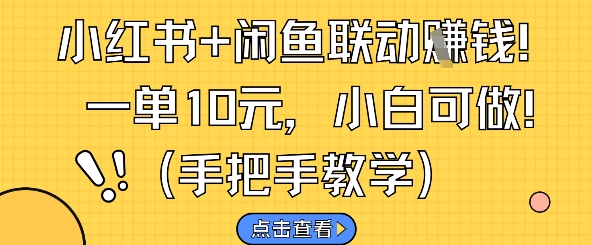 小红书+闲鱼联动挣钱，一单10元，小白可做-云享网创