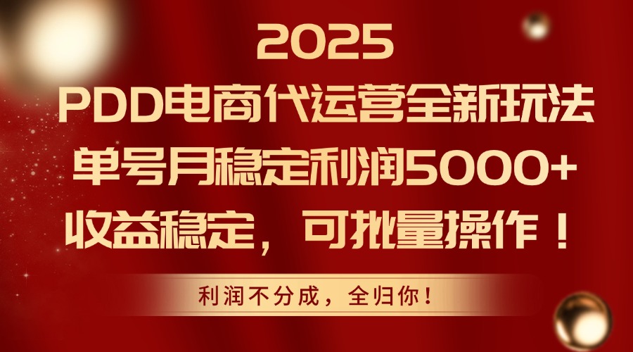2025PDD电商代运营全新玩法，单号月稳定利润5000+，收益稳定，可批量操作-云享网创
