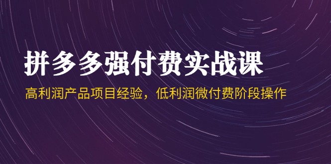 拼多多强付费实战课-44期，高利润产品项目经验，低利润微付费阶段操作-云享网创