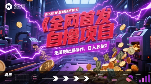 全网首发，2025年最新稳定暴力全自动自撸项目，无限制批量操作，日入多张【揭秘】-云享网创
