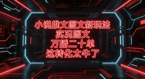 小说推文图文新玩法，实况图文，万播二十单，这转化太牛了！-云享网创