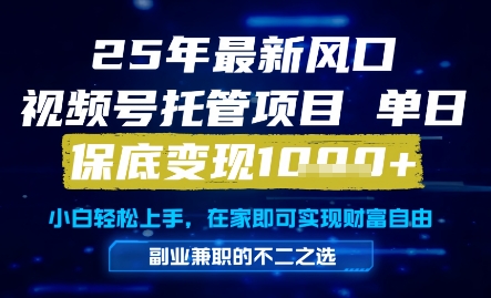 25年最新风口，视频号托管项目，单日保底变现1k+，手把手教学【揭秘】-云享网创