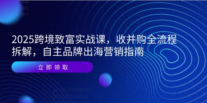 2025跨境致富实战课，收并购全流程拆解，自主品牌出海营销指南-云享网创