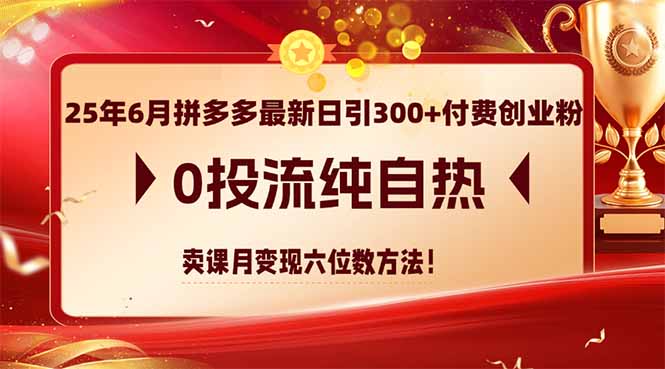 25年6月拼多多最新日引300+付费创业粉，0投流纯自热 卖课月变现六位数方法-云享网创