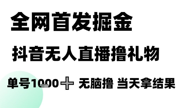 全网首发掘金抖音无人直播撸礼物，单号1k +无脑撸，当天拿结果【揭秘】-云享网创
