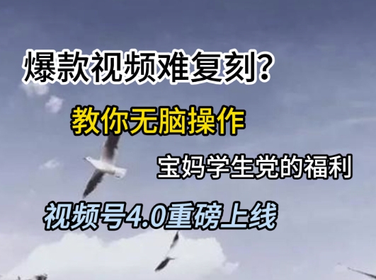 视频号4.0重磅上线，爆款视频难复刻？教你无脑操作宝妈学生党的福利【揭秘】-云享网创