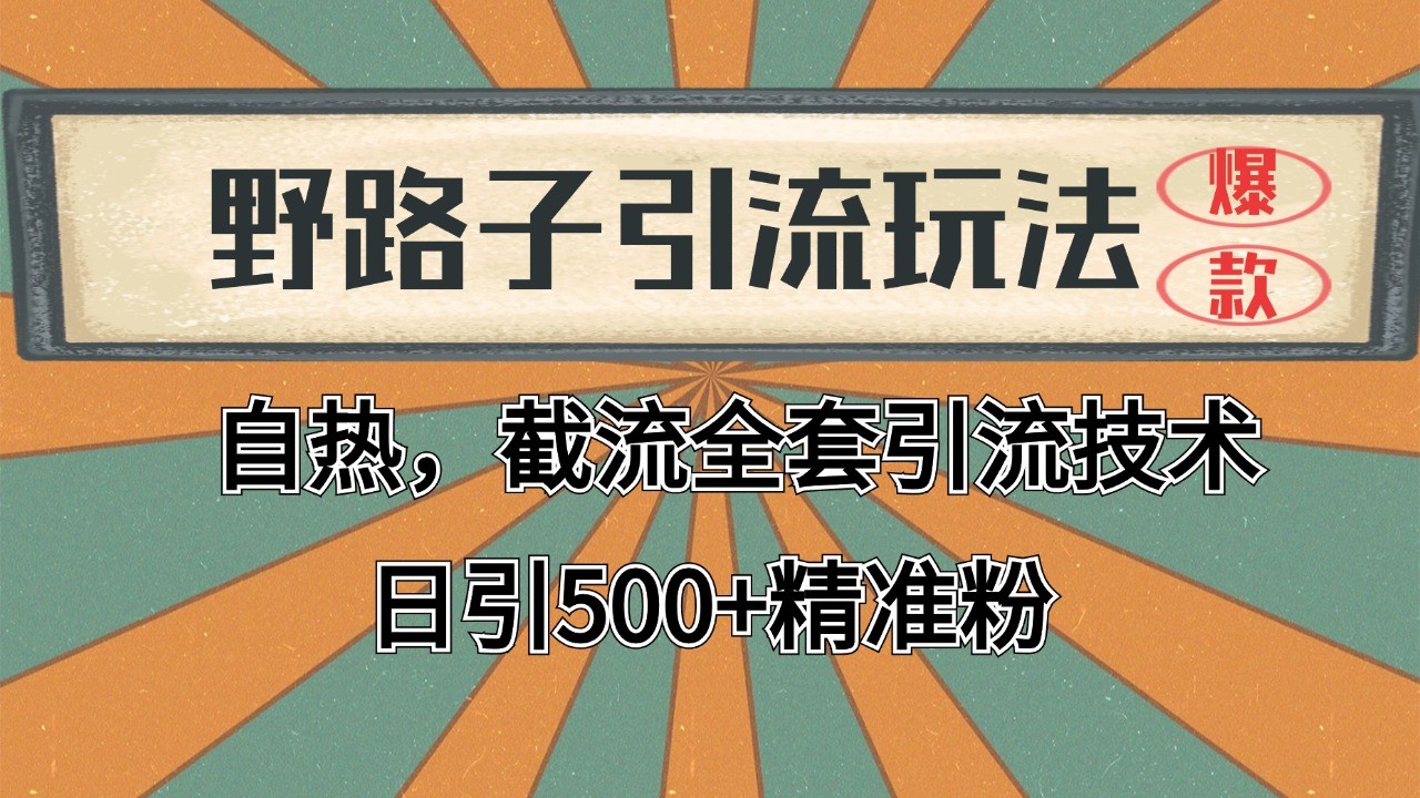 2024首发野路子引流玩法截流自热全平台打法，全自动引流【日引2000+精准客户】-云享网创